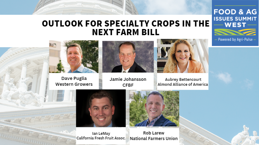 12 OUTLOOK FOR SPECIALTY CROPS  IN THE NEXT FARM BILL 836x470.png
